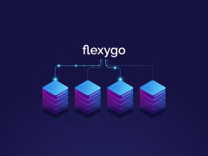 Flexygo trabaja con múltiples bases de datos