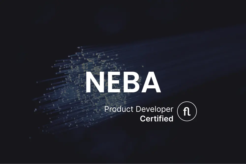 NEBA, un sistema de gestión para el aprovisionamiento de fibra óptica desarrollado con flexygo.
