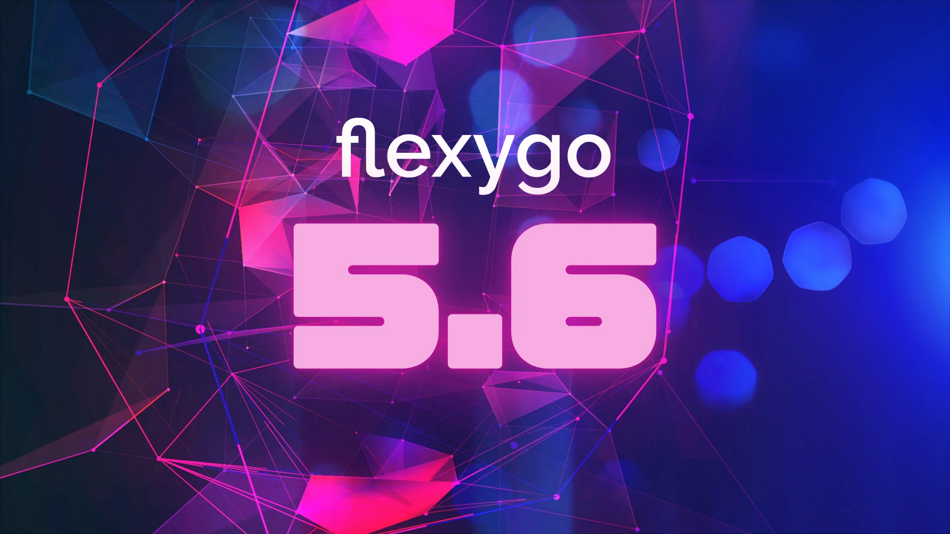 FLEXYGO 5_6