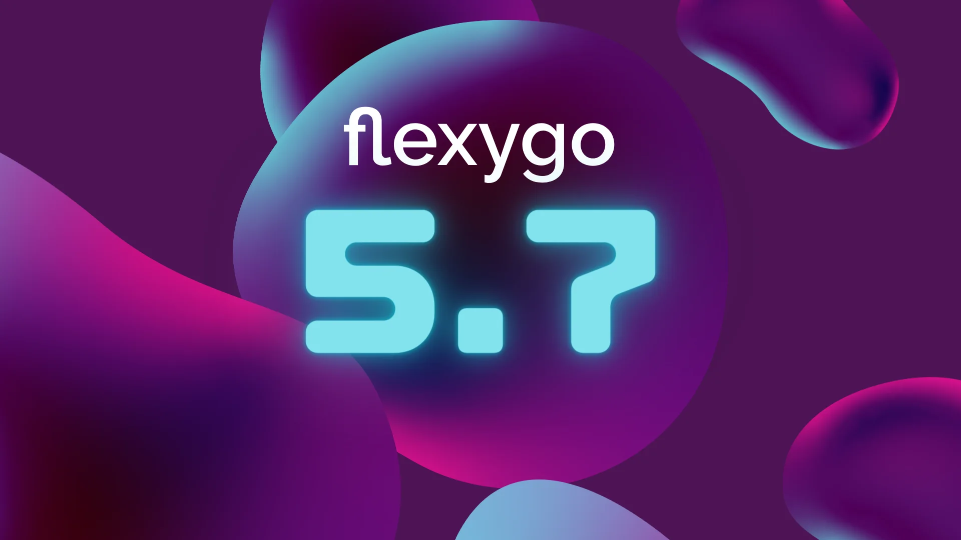 FLEXYGO VERSION 5_7