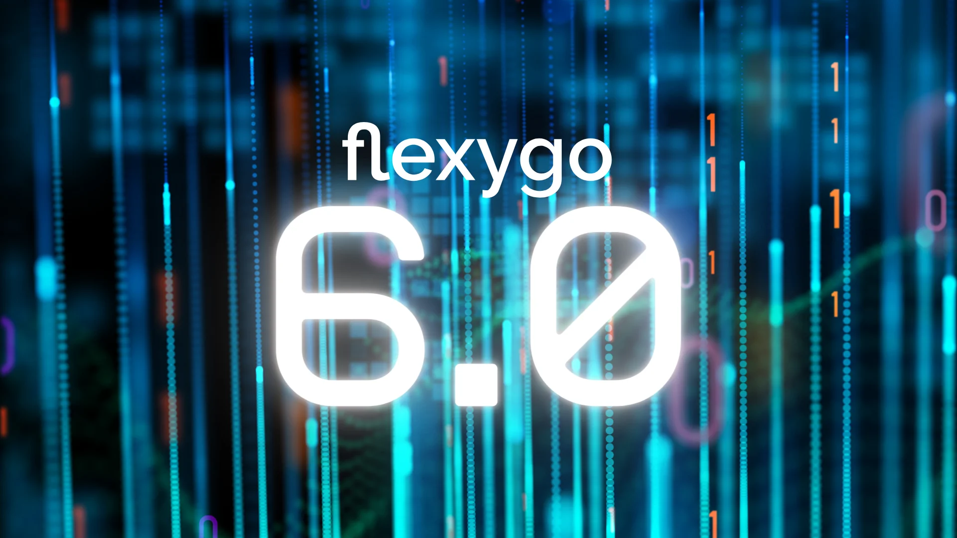 FLEXYGO 6_0
