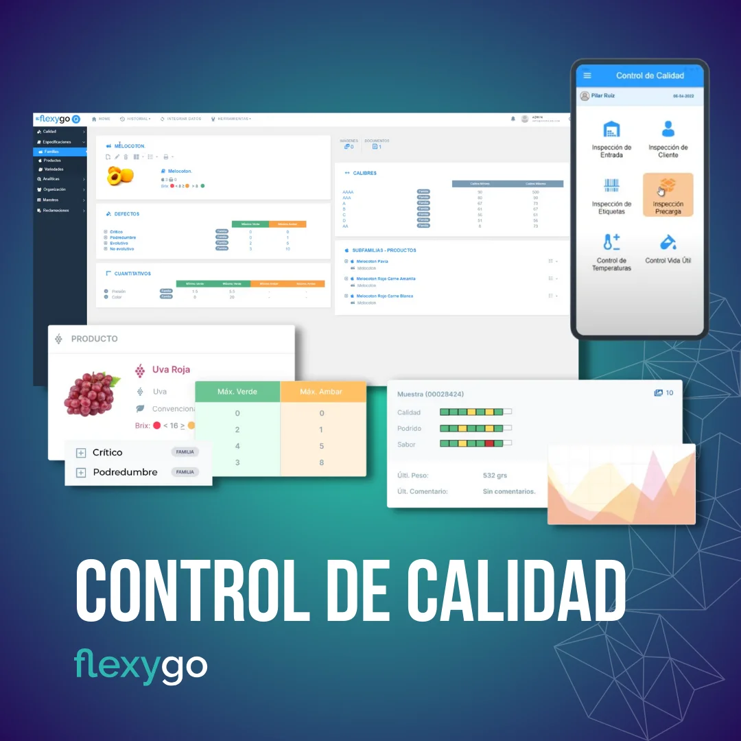 Lowcode Flexygo